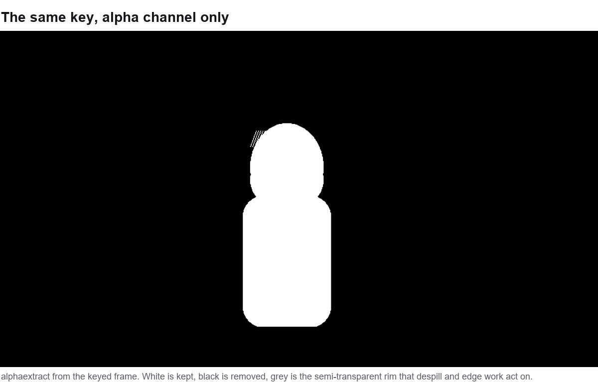 A greyscale alpha channel of a keyed subject: white where the subject is kept, black where the screen was removed, and a thin grey rim along the subject edge.